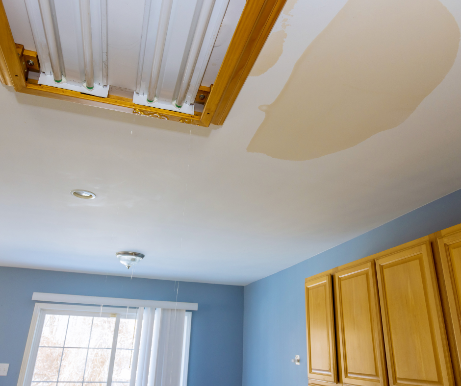Damaged Ceiling