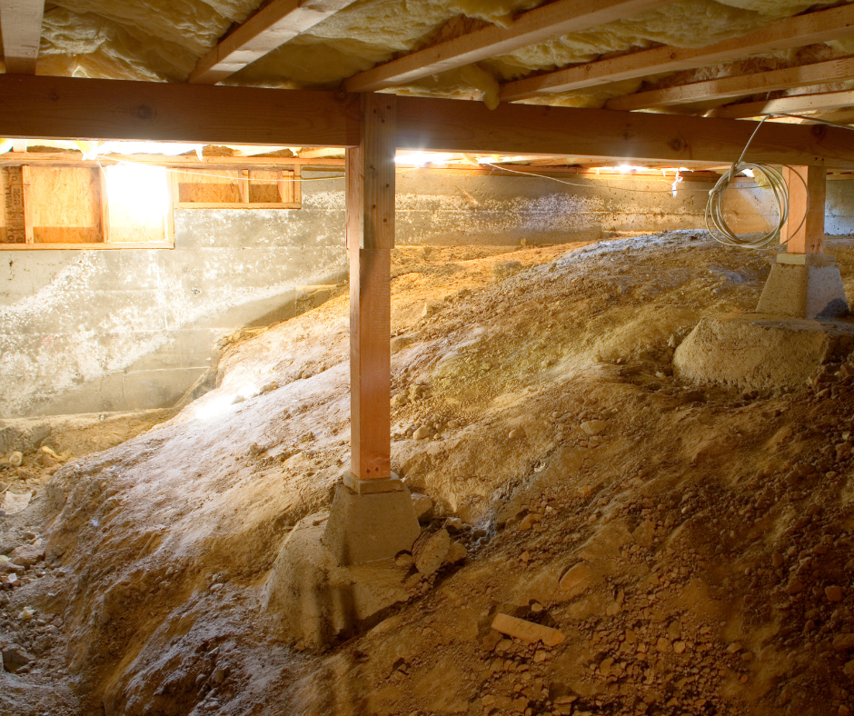 Crawl Space Mold