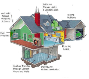 Causes of Molds