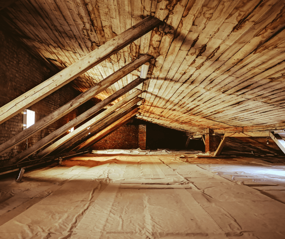 Steps to Remove Mold from Plywood in the Attic