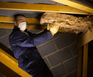 Attic mold