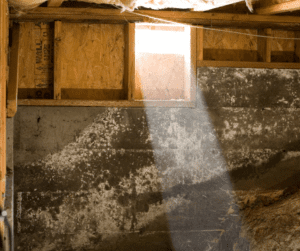 Crawl Space Mold Remediation