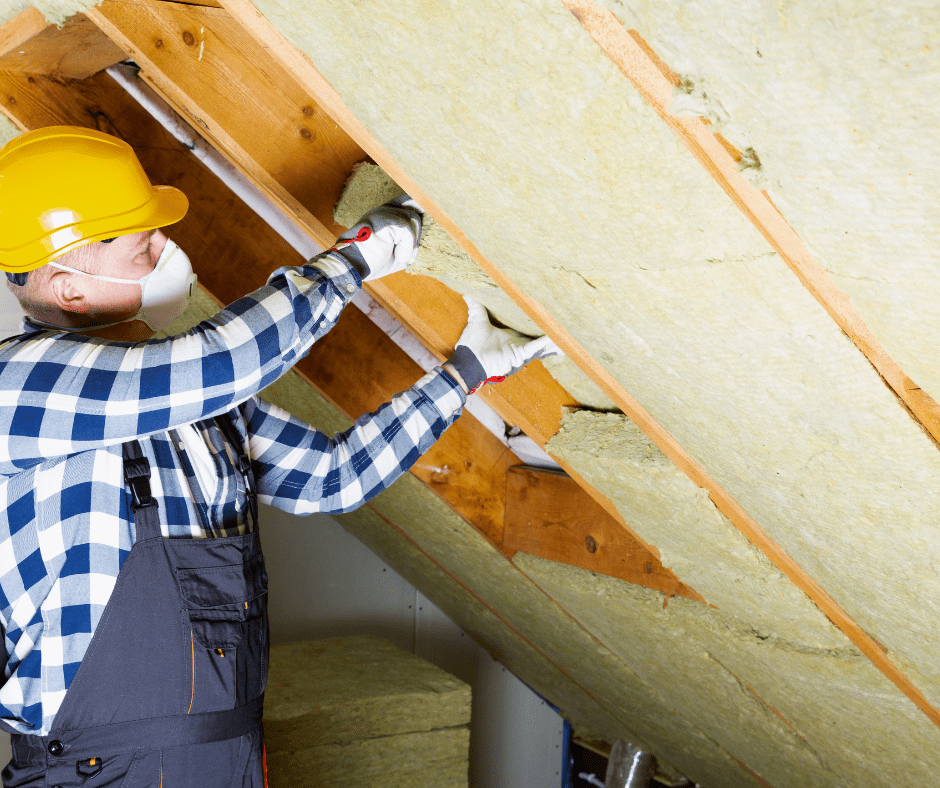 attic mold