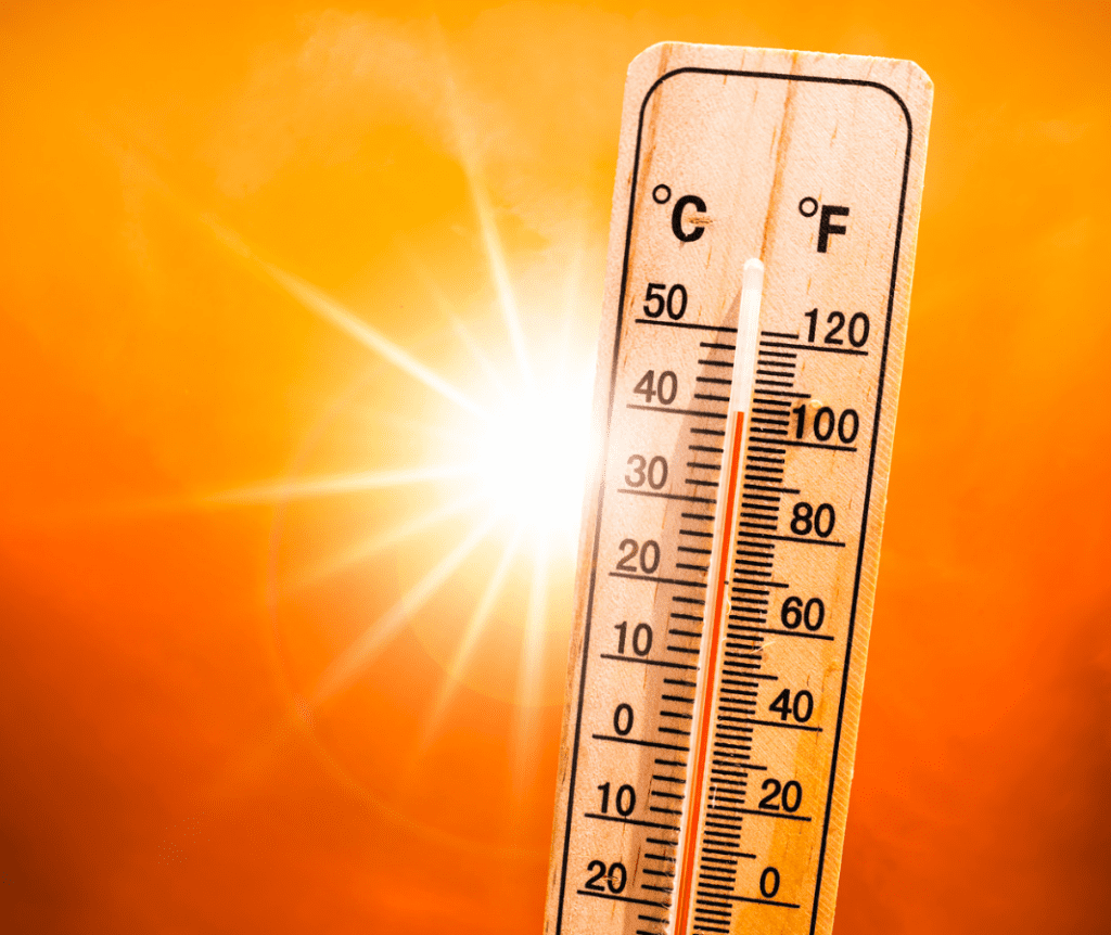 Summer Temp