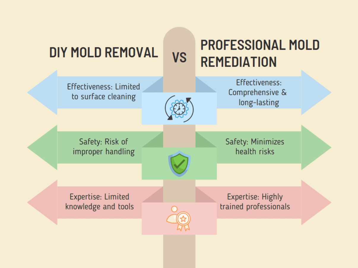 DIY Mold Removal vs. Professional Mold Remediation Comparison