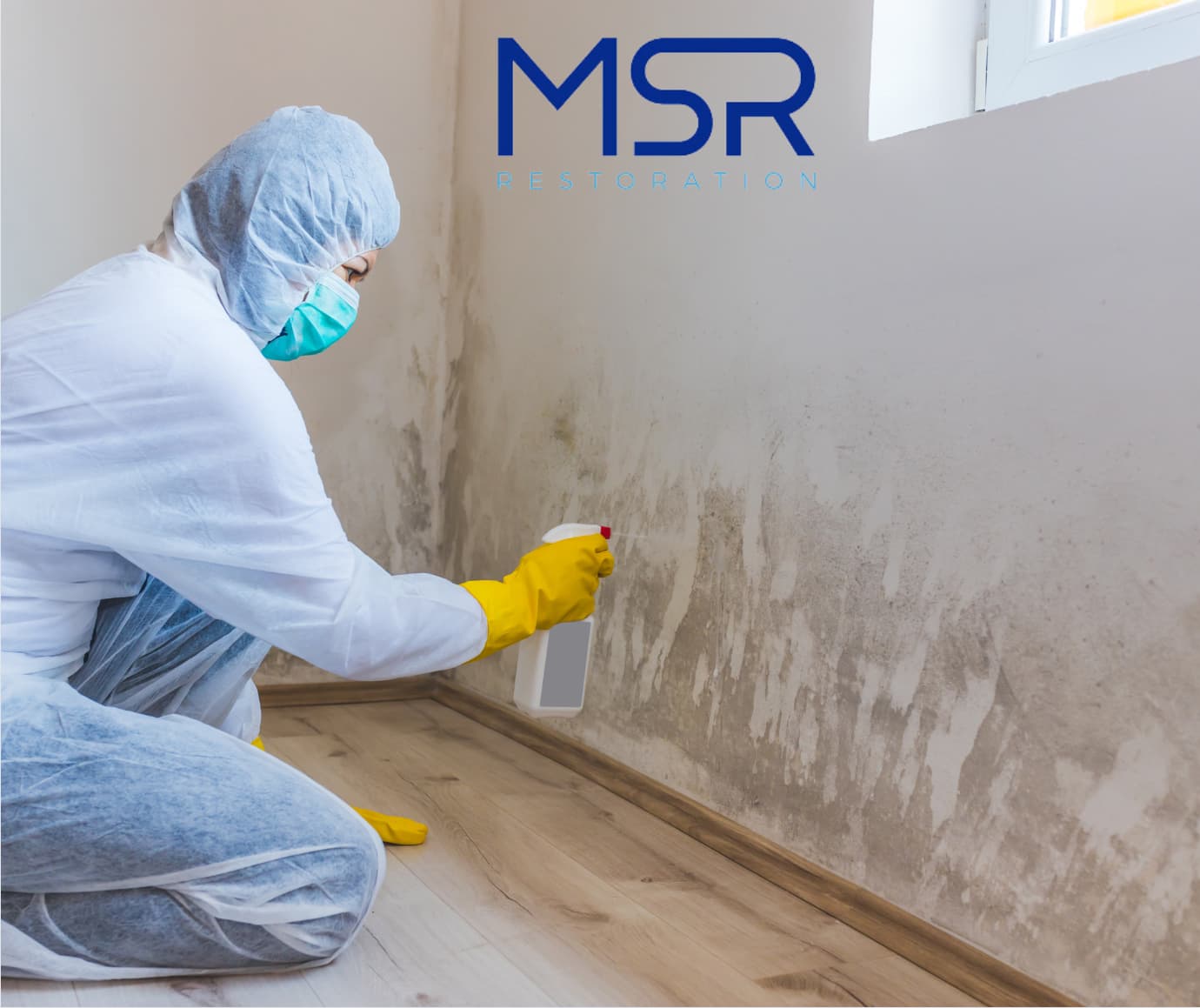 MSR Restoration offers Mold Cleaning Services
