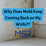 Mold Keep Coming Back on My Walls