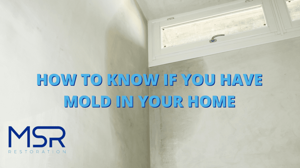 how to detect mold in your home 