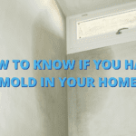 how to detect mold in your home